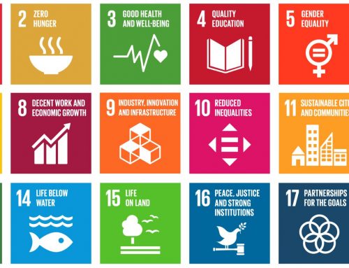 Ingezonden: De Global Goals